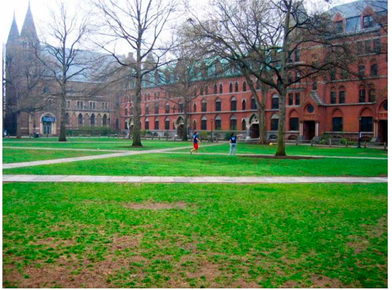 The Old Campus at Yale (Photo by Dan Voll)